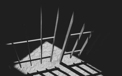 Police Custody in France (Garde à Vue): What Foreign Nationals Need to Know